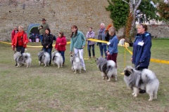 IMG-20220919-WA0040