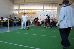 IMG_1691_a