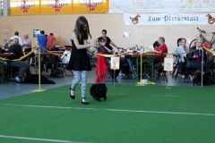 IMG_1794_a