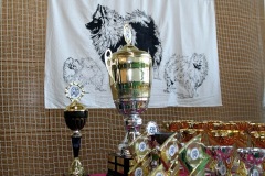 IMG_3923_a