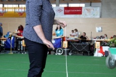 063_IMG_4599